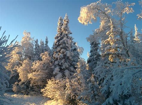 A Yellowknife Christmas Winter Wonderland Ice Lake, Yellowknife, Winter Wonderland, Bay, Snow ...