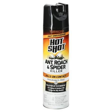 Publix Hot Shot Ant Roach Spider Killer Fragrance Free Same Day Delivery Or Pickup Publix