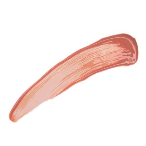 Brush On Block Lip Oil Nude H O Closet