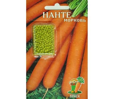 Сорта моркови: лучшие семена для Сибири, самые урожайные и морозостойкие