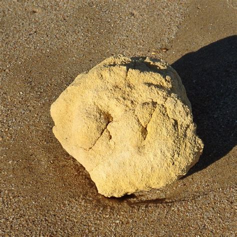 Whale Vomit: 10 Things You Need To Know About Ambergris Mirror Online 