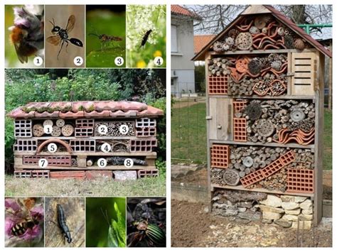 Домик для насекомых: правила строительства. Видео