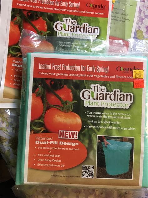 provident home care 2