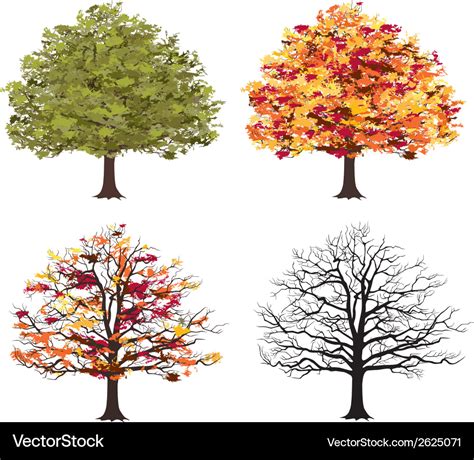 Different Seasons Of Art Tree Royalty Free Vector Image