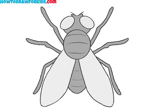 How To Draw A Fly Easy Drawing Tutorial For Kids