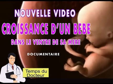 Croissance Du Bebe Dans Le Ventre De Sa Mere Youtube