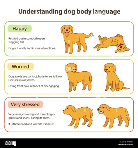 Ridiculous Dog Poses