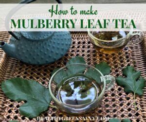 Mulberry Tree Leaf Tea ~ Recipe, Identification & 5 Benefits