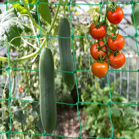 Gardengloss Ranknetz Mit Gro Er Maschenweite F R Besonders