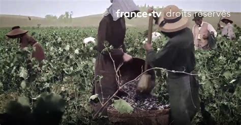 France 3 Diffuse Un Magnifique Documentaire Sur L Histoire Des Vignerons