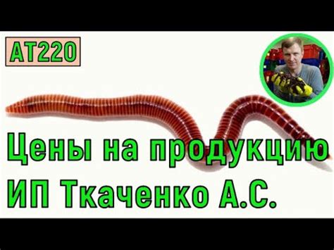 АТ220 цены на продукцию ИП Ткаченко АС черви вермизакваска ...