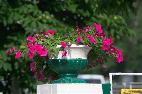 МС Конвертер К-1 2х. Обзор и примеры фото | Перископ