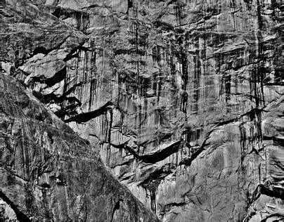 saeculum evergreenfonts projects   logos