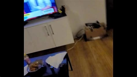 Trump Videos XVIDEOS