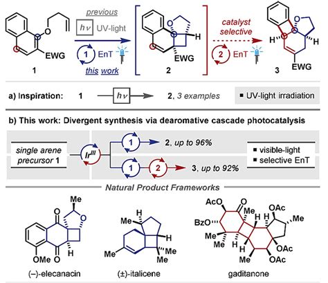 Frank Glorius课题组jacs：去芳构化串联的光氧化还原催化反应 X Mol资讯