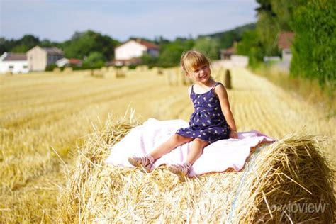 Petite Fille Blonde En Robe Sur Une Motte De Paille En Campagne Adesivos Para A Parede