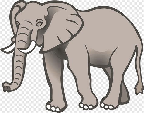 Big Elephants, elephants, mammal, animals png | PNGEgg