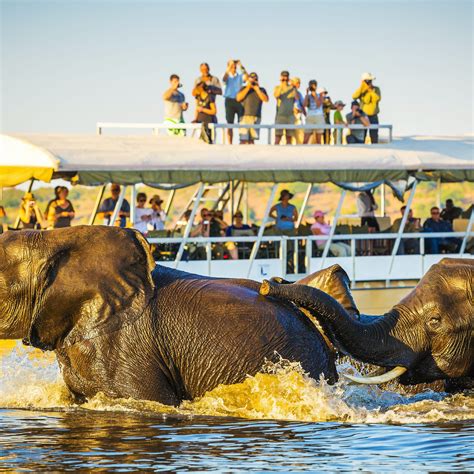 Wildlife Tourism in Botswana - Visit Africa
