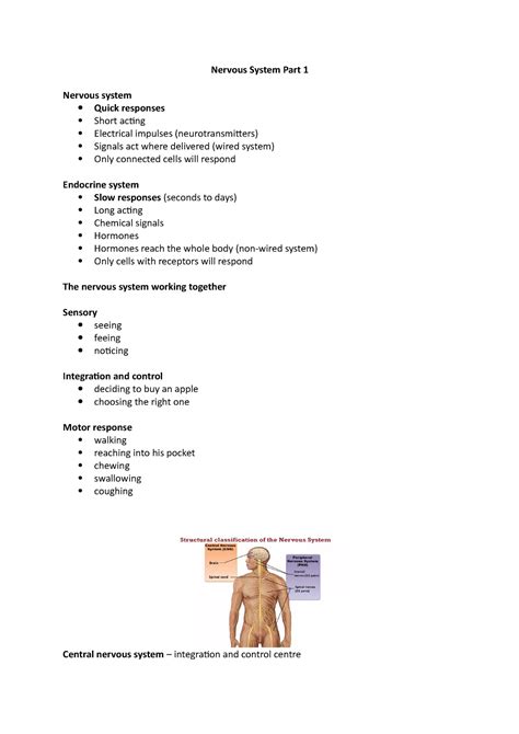 Nervous System Part 1 Special Senses Vision Taste Hearing Smell