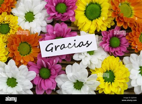 gracias