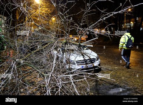Folgen nach einem sturm -Fotos und -Bildmaterial in hoher Auflösung – Alamy