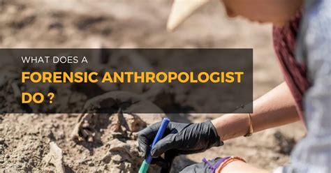 What Does A Forensic Anthropologist Do