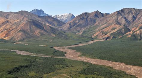 Polychrome Pass Denali National Park National Park Photos