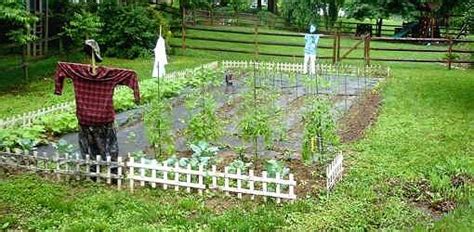 traditional row vegetable garden layout leryceleb