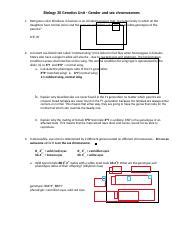 Sex Determination Worksheet Doc Biology 30 Genetics Unit Gender And Sex Chromosomes 1 Red