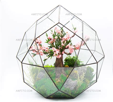 Бонсай Сакура в стекле. Купить флорариум Киев. Подарок любимой