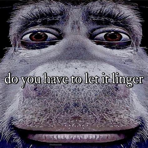 do you have to let it linger (donkey meme) | Let It Linger / Letting It ...
