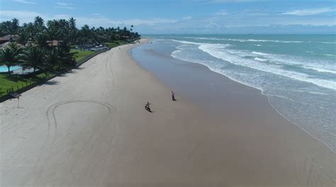 Playa Do Cupe Todo Lo Que Necesit S Saber Vivo Porto De Galinhas Es