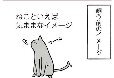 「思ってたんと違う！」猫を飼い始めたがごめん寝しないとか色々違う！／黒猫ろんと暮らしたら1 毎日が発見ネット