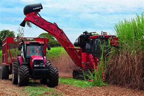 Como A Colheita Mecanizada De Cana Influencia Na Produtividade