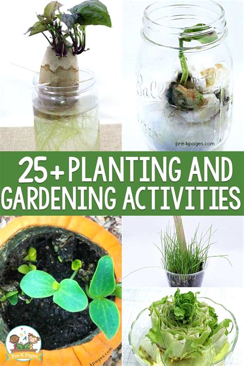 planting  gardening activies  preschoolers