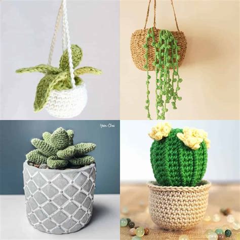 Free Crochet Plant Succulent And Cactus Patterns