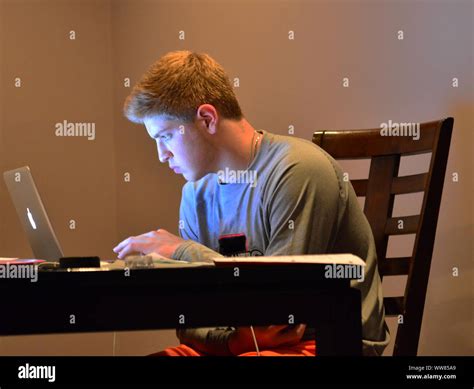 college student  homework  laptop computer stock photo alamy