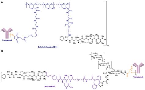 Marine Drugs Free Full Text Antibody Drug Conjugates Containing