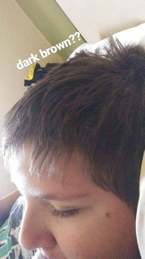 The Gayest Gay Wiki Druggedfrootloops Amino Amino