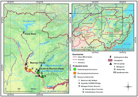 Large dams in the Russian part of the Amur River basin and the ...