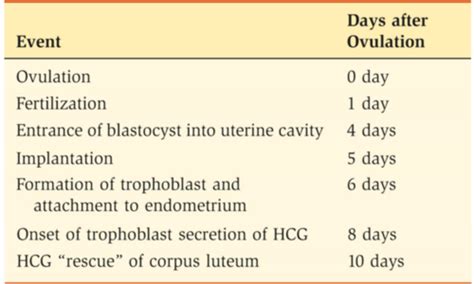 Physiology Of Fertilization Implantation Flashcards Quizlet