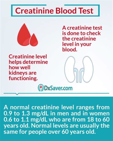 Creatinine Test Results Explained