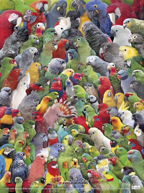 Parrots Of The World Book