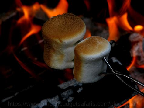 Heritage Day Braai - Volunteer Projects