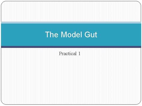 model gut practical  mammalian nutrition learning