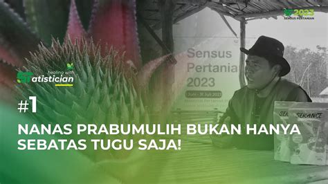 Siska Antoni Petani Milenial Dibalik Agrowisata Nanas Prabumulih