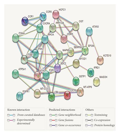 The Protein Protein Interaction Ppi Networks A Ppi Corresponding