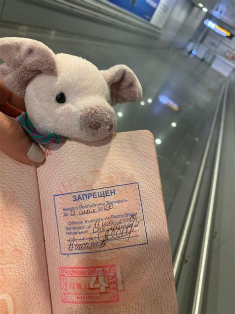 Участницам Pussy Riot запретили въезд в Беларусь