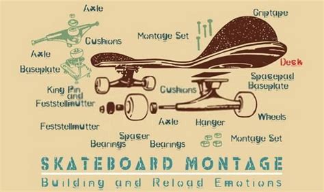 The Anatomy Of A Skateboard