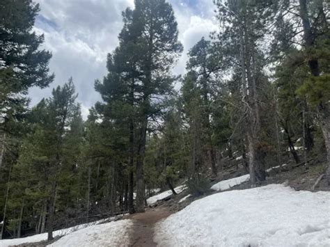 Best Easy Trails in Flying J Ranch Park | AllTrails